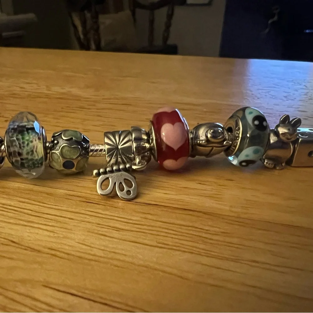 Genuine Pandora bracelet with 20 charms. - Picture 3 of 4